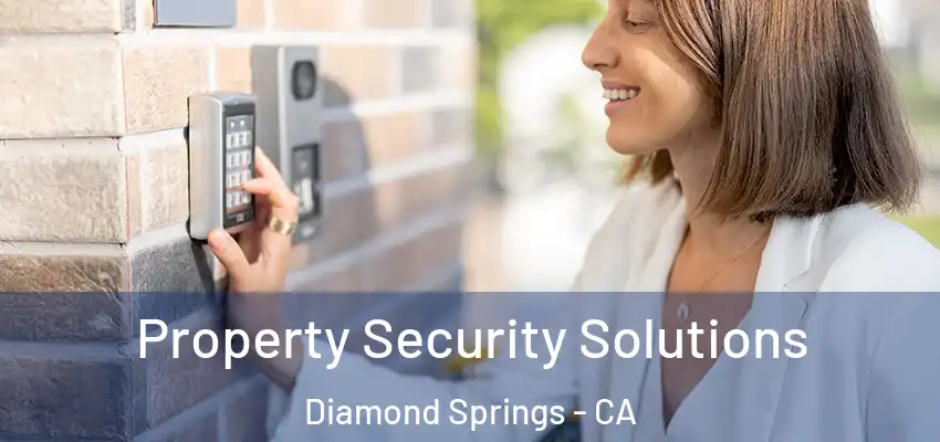 Property Security Solutions Diamond Springs - CA